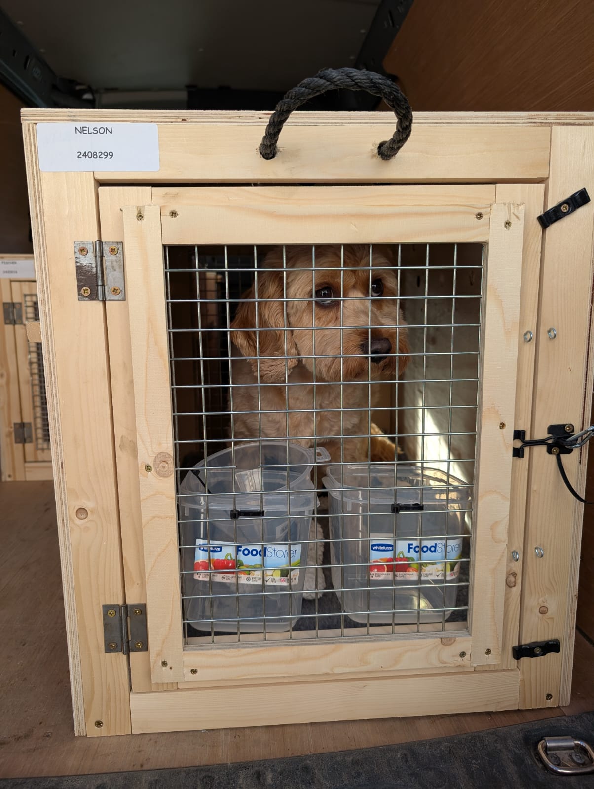 Vinnie in his travel crate